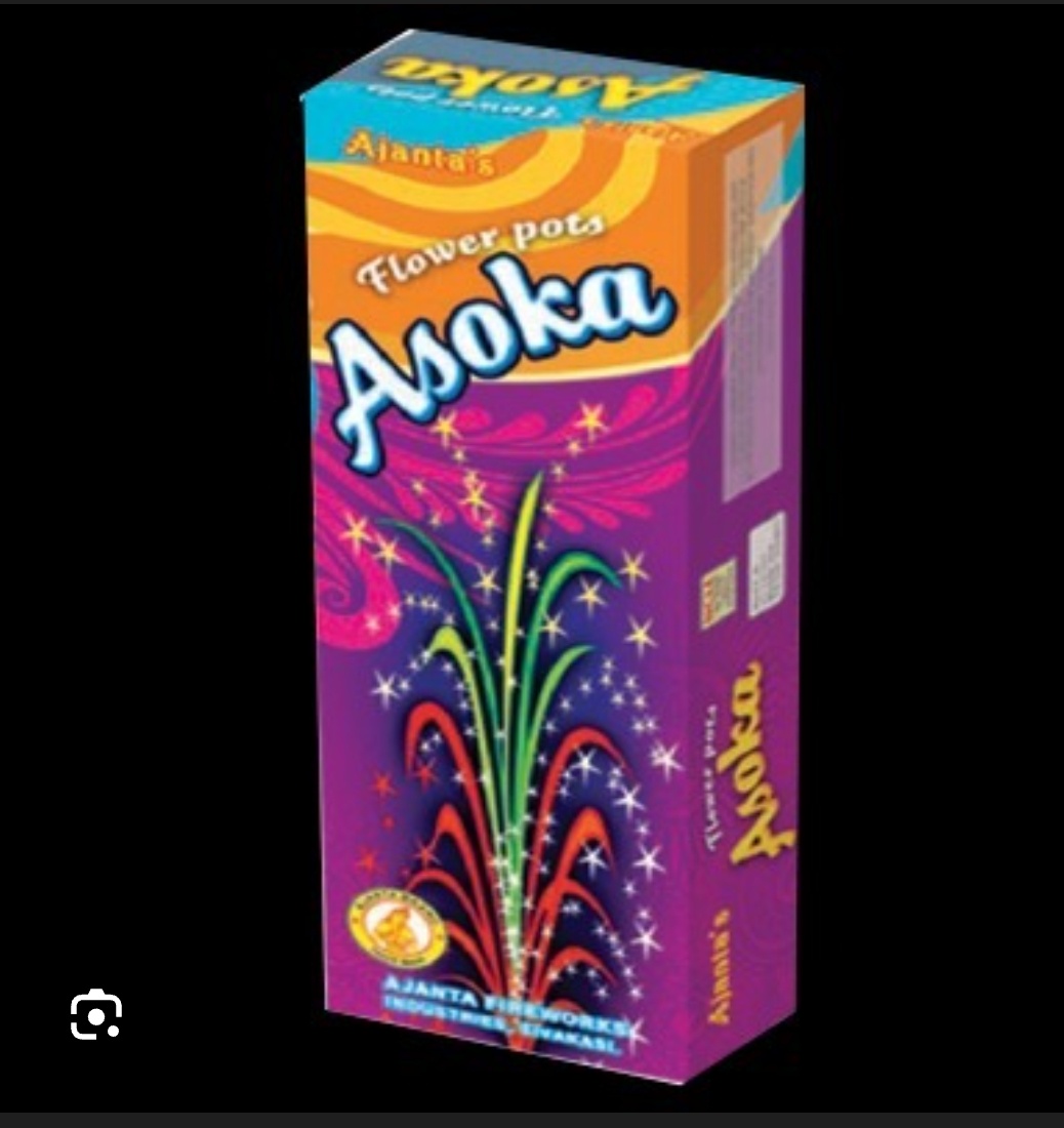 FLOWER POT ASOKA